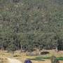 Megalong Valley