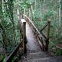 Ellenborough Falls