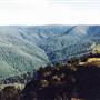 Barrington Tops National Park