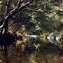 Barrington Tops National Park