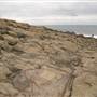 Bass Point Reserve to Maloneys Bay