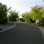 Bella Vista Waters