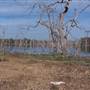 Gum Swamp & Bird Hide