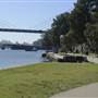 Blackwattle Bay Park