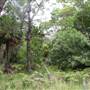 Bonnie Vale Campground - Royal National Park