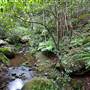 Jamberoo