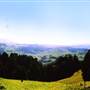 Jamberoo