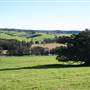 Jamberoo
