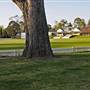 Bowral - Southern Highlands