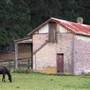 Bowral - Southern Highlands