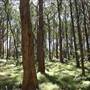 Bowral - Southern Highlands