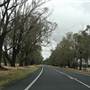 Wagga Wagga
