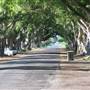 Briemba St, Grafton