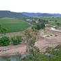 Broke vineyards