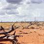 Broken Hill Area (Inc. Silverton)