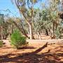 Broken Hill Area (Inc. Silverton)