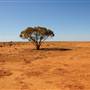 Broken Hill Area (Inc. Silverton)