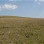 Brooks Point