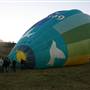Byron Hinterland-Hot Air Balloon