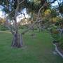 Cabarita Beach (Bogangar)