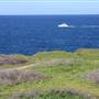 Cape Banks