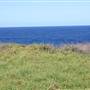 Cape Banks