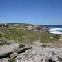 Cape Banks