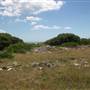 Cape Solander