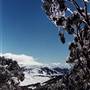 Charlotte Pass