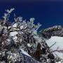 Charlotte Pass