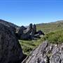 Charlotte Pass