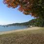 Clareville Beach