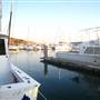 Coffs Harbour