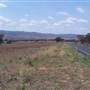 Coolah surrounds