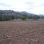 Coolah surrounds