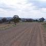 Coolah Tops National Park