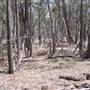 Coolah Tops National Park