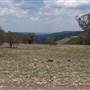 Coolah Tops National Park
