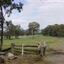 Coolah Tops National Park