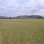 Coonabarabran Area