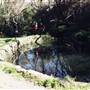 Cooper Park