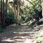 Cooper Park