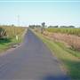 Crops near Ballina