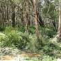 Crowdy Bay National Park
