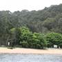 Currawong Beach Cottages