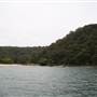 Currawong Beach Cottages