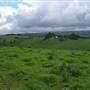 Dorrigo National Park