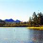 Northern Rivers Region