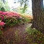 Everglades Gardens