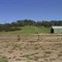 Calmsley Hill City Farm